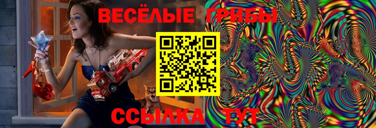 Галлюциногенные грибы Psilocybe  Вход с VPN  Дедовск 